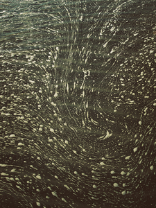 Into the marsh - 37