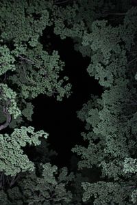 Gilmanton, N.H. © Matt Nighswander