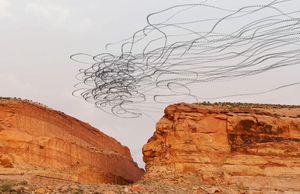 Lockdown Vultures (Moab Slope)