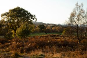 Loch Ardinning 5