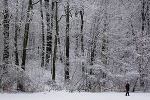High Park