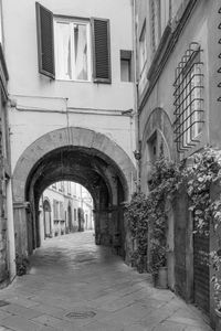Una Strada Piccola a Lucca