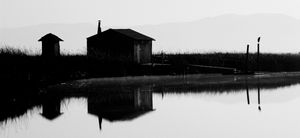 Duck Cabin and Heron