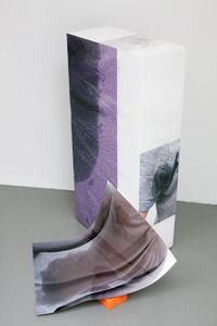 Sweaty Sculpture (slide)
