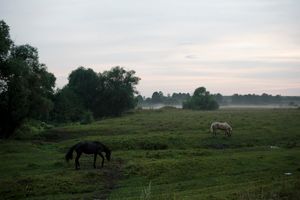 "Orthodox Warrior" camp takes place in Diveevo, the center of pilgrimate for Orthodox Christians in Russia, 31 July, 2016. The relics of one of the most revered saints, St. Seraphim, is celebrated on the 1 of August, attracting pilgrims from all across the country. The participants of the camp train not only in martial arts and tactical training, but unite under their Orthodox faith.