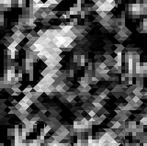 Metamorphosis 49