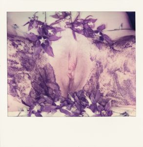 Vulva 10