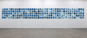 "195 GLACIERS" INSTALLATION