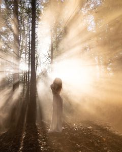 Serenity