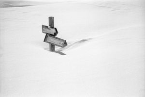 Nel Bianco