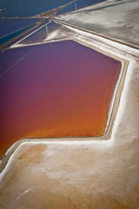 Salt Pond Restoration No. 1