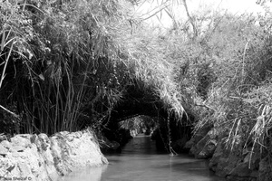 A day by the river 17
