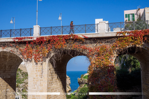 Bridge of Polignano a Mare