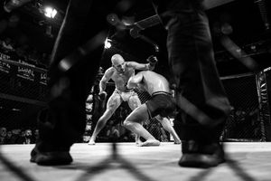 The MMA stars night in Milan took place at the Teatro Principe, where director LuchinoVisconti filmed “Rocco e i suoi fratelli”. After several years of being closed, the theatre opened again in 2015. Venator Fighting Championship started in the same year.