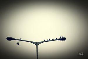 Cityscape #4