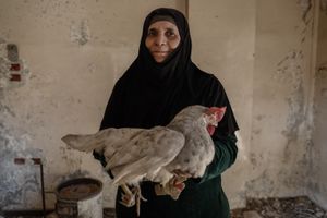 Another face of War