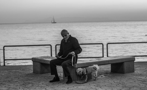 Old man and the sea dog