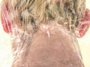 Splash (from the series WaterWorks)