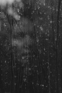 Echoes of Identity