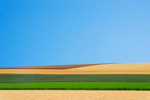 Paysage Culturel