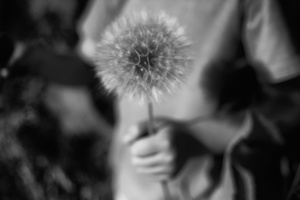 Wanderland