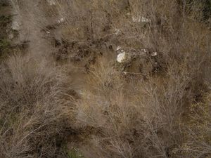 Big Tujunga Creek, 2023