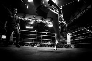 knock out