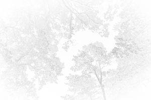 Social Beings 19