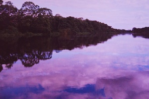 Rio Napo. Amazonas boliviano.  Bolivia