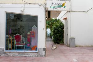 Ischia Porto, January 3, 2015