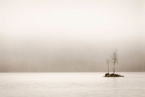 Fog