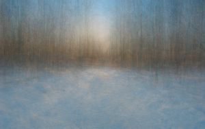 Path 3, 2011