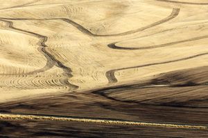 Palouse, WA. Study #68                        (47 1.9454N - 117 17.8026W)