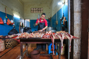 Yangshou market