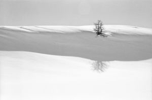 Nel Bianco