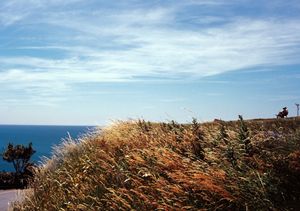 panoramic spot