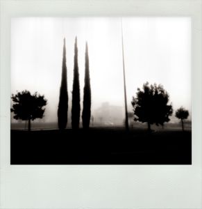 Transversal Memory #5