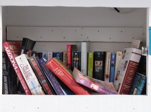 “Ex Libris: What Madison is (and is not) reading,” 2015