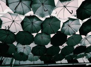 Umbrella Sky Project 5