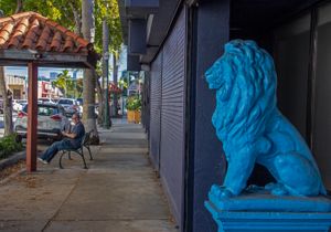 From series, Calle Ocho, untitled #8