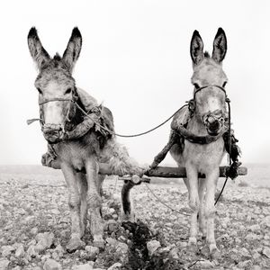 Working Class Family