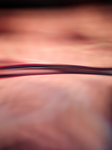 Lip