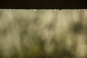 Sunrise Fog at the Chalmette Battlefield, January 21, 2016