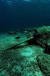 Anchor