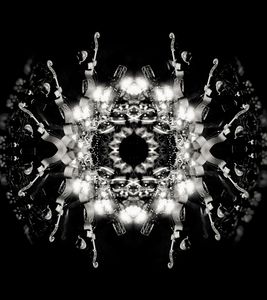 Das Fenster & the Alibis - Double Bass - Whitenoise