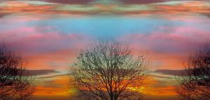 petruckevitch_ann_10