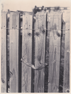 Fence with Silk Ribbon