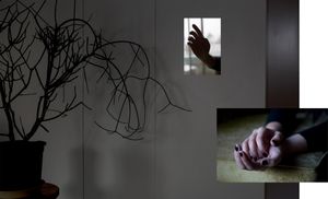 Spaces of Loss I