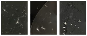 Deep Space, 2012; unique silver gelatin prints mounted to anodized aluminum; 3 panels; each panel 11 x 14 in.;© DM Witman