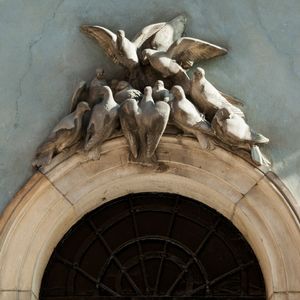 Pigeons. © Silvia Dominguez